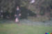 7n9a4614.jpg
